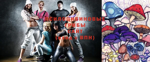 ECSTASY Богородск