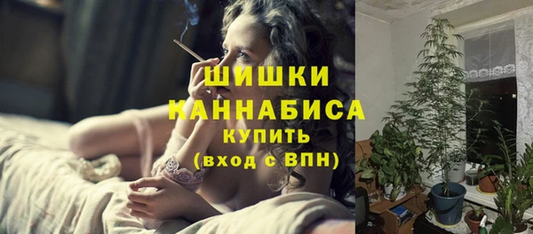 ECSTASY Богородск